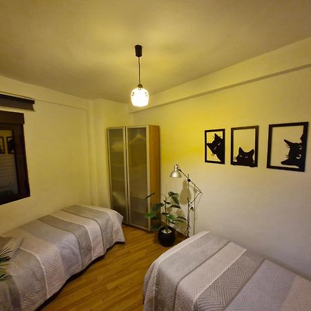 Apartamento Centro De Toledo Luaran gambar